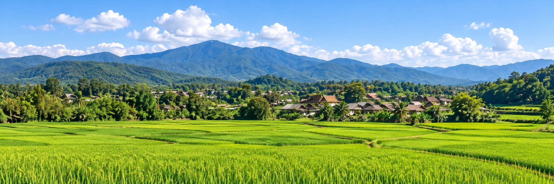 ทุ่งนาและภูเขาในบรรยากาศเชียงใหม่